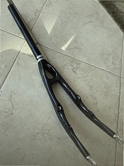 Easy Racers recumbent bike CARBON FIBER FORK nos NEW 1 & 1/8" steerer 11 & 3/8"