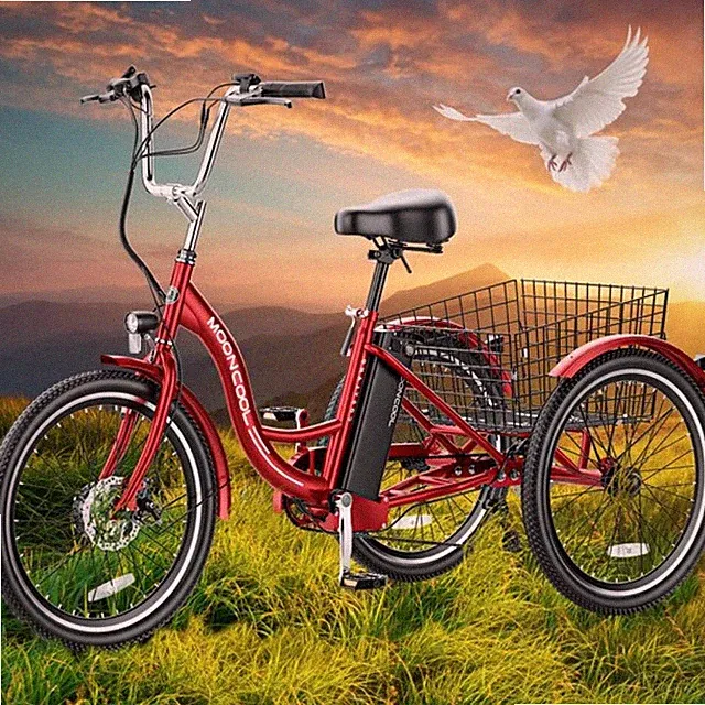 MOPHOTO Electric Tricycle Adult 24" Electric Tricycle Removable Battery Charger