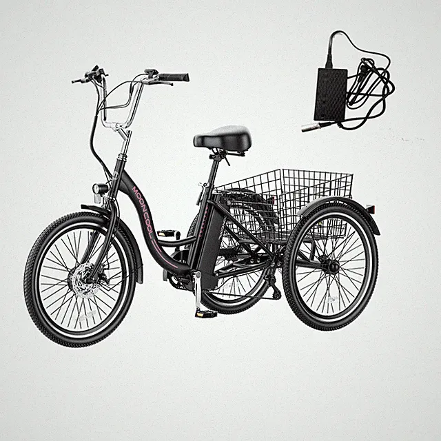 NAIZEA 24" 26” Adult Electric Trike Tricycle 350W 10AH Removal Lithium Battery